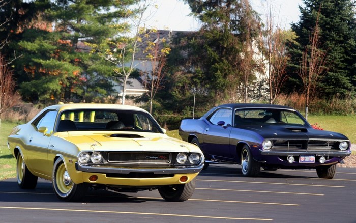 Two classic muscle cars, a yellow Dodge Challenger and a purple Plymouth Barracuda, parked outdoors.