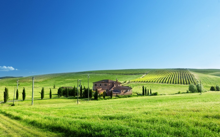 Tuscan Villa and Vineyards under Blue Sky