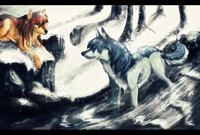 Two wolves in a snowy forest