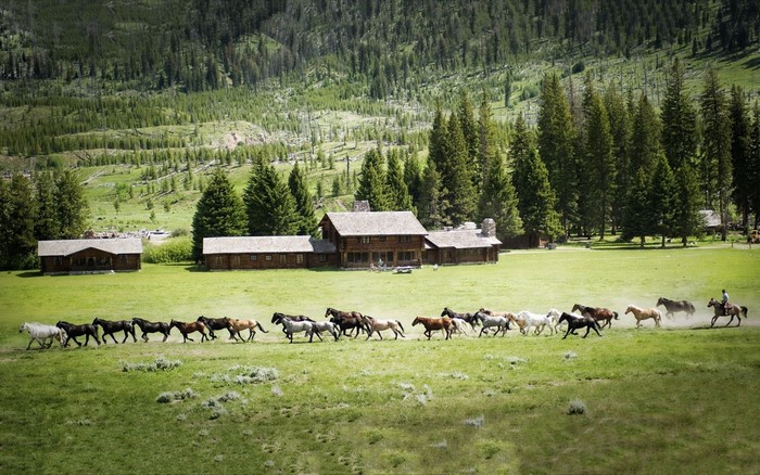 Horses running past a ranch in a mountain valley