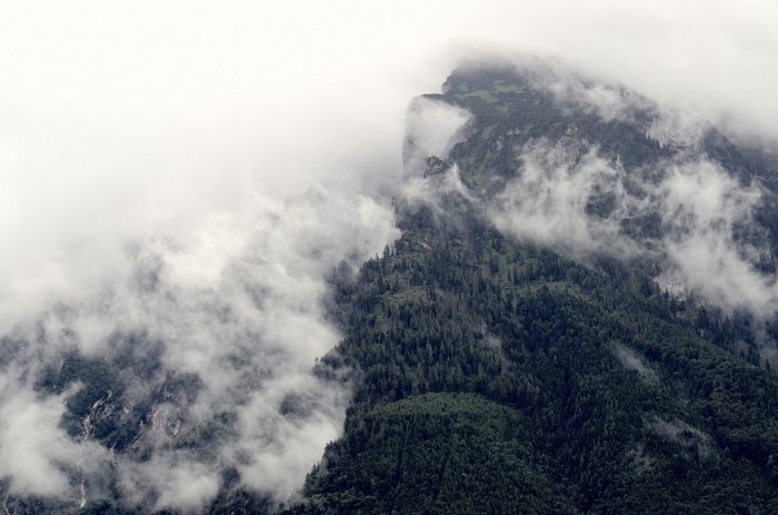 Misty mountains covered in dark green forest