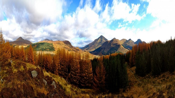 Autumn landscape with mountains and trees