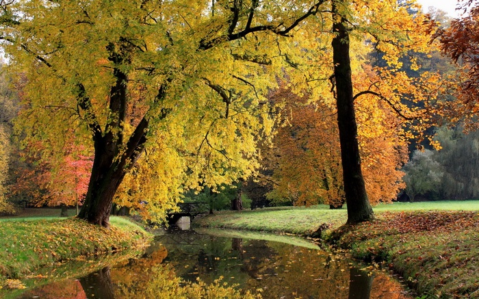 Autumn park with a stream and trees