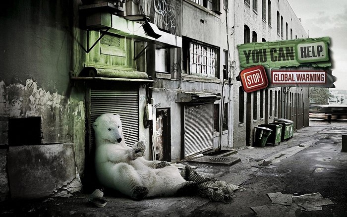 Polar bear in an alley with global warming message