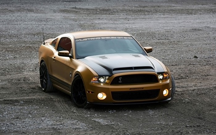Gold Shelby GT500 Mustang on Gravel