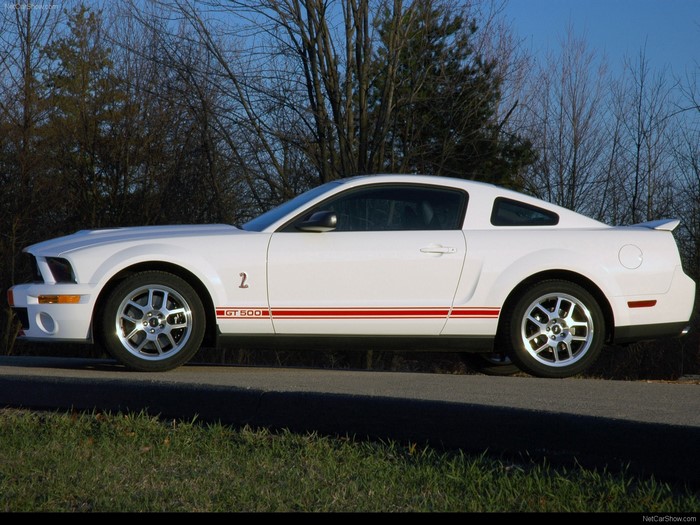 White Ford Shelby GT500 Mustang parked on a road