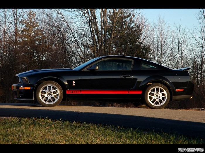 Black Ford Shelby GT500 Mustang parked outdoors