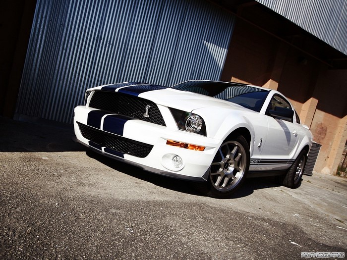 White Ford Shelby Mustang GT500 with Blue Stripes