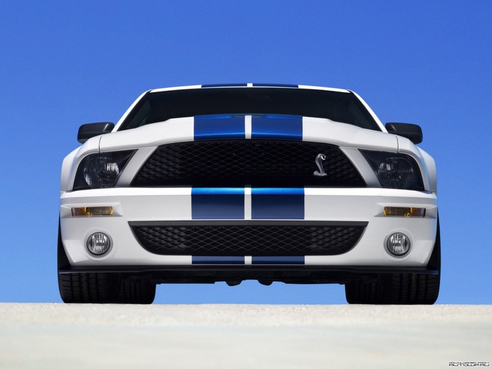 White Ford Shelby Mustang GT500 with blue stripes
