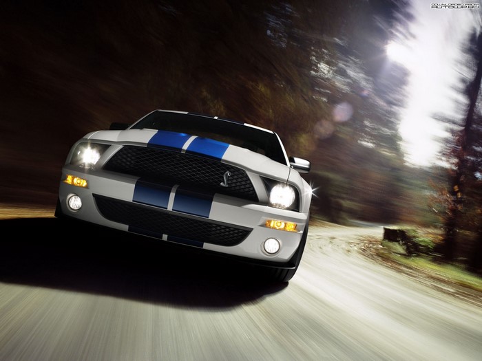 White Ford Shelby Mustang GT500 driving on a forest road