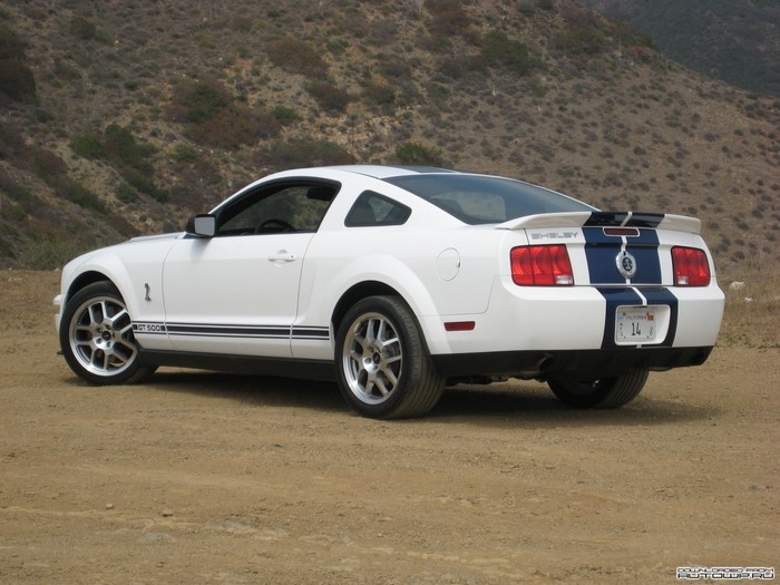White Shelby GT500 Mustang parked on dirt road