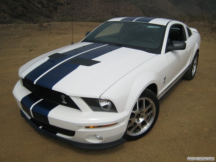 White Ford Mustang Shelby GT500 with blue stripes