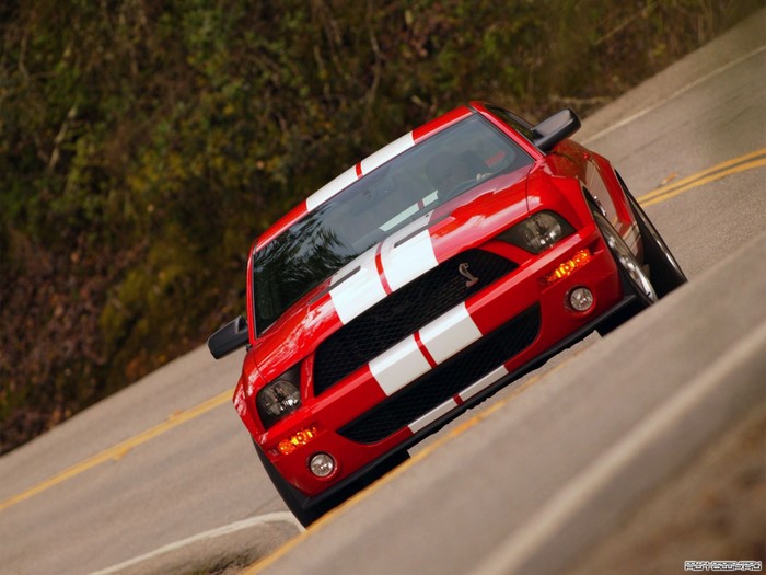 Red Ford Mustang Shelby GT500 on a winding road