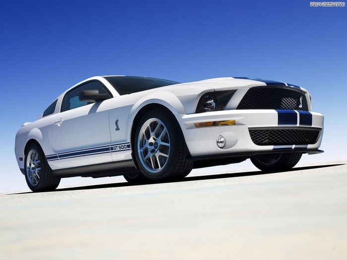 White Ford Shelby GT500 with Blue Stripes