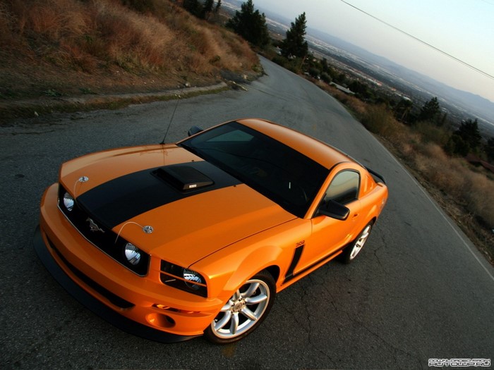 Orange Ford Mustang Shelby GT500 on a winding road