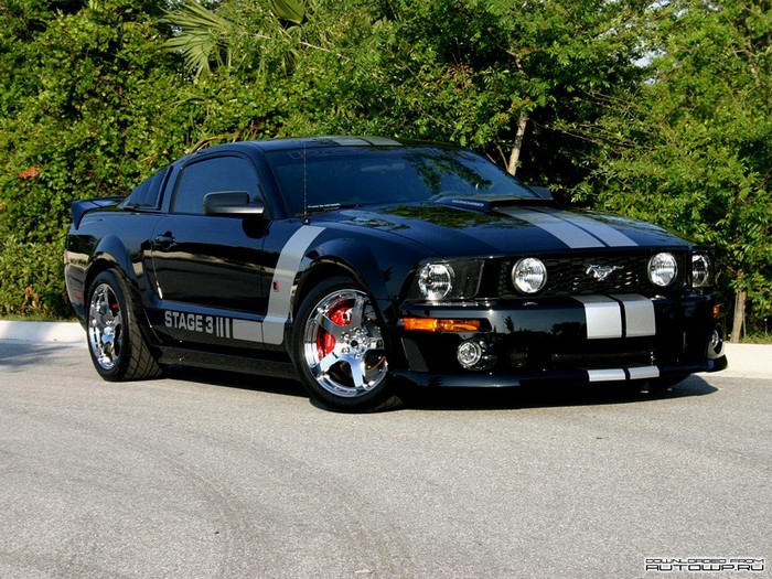 Black Ford Mustang Stage 3 with Silver Stripes