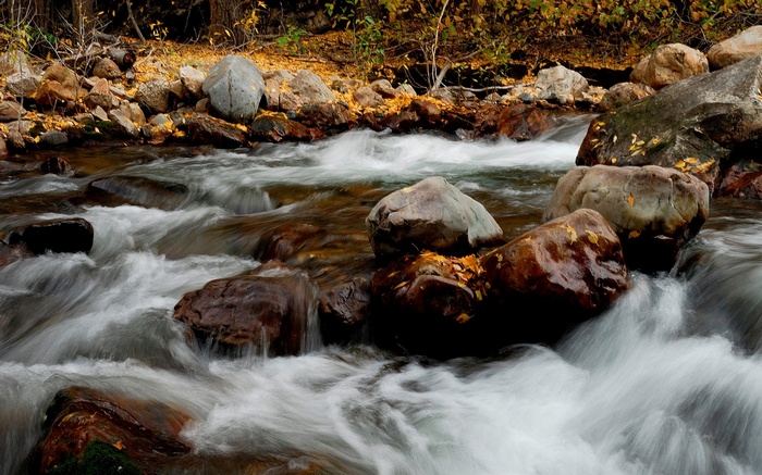 River flowing over rocks in autumn
