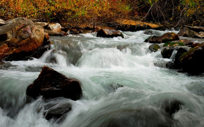 Fast-flowing river with rocks and autumn foliage