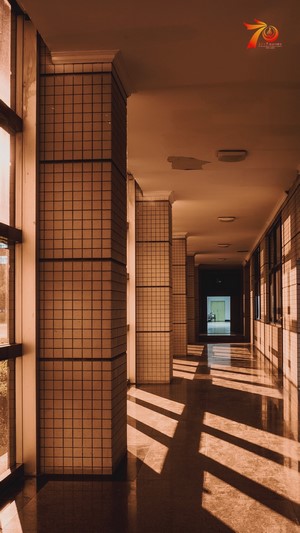 Empty school hallway with sunlight and shadows
