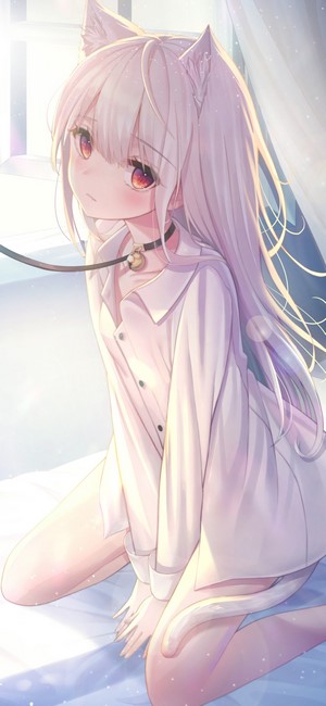 Kyubi Anime Cat Girl with White Hair