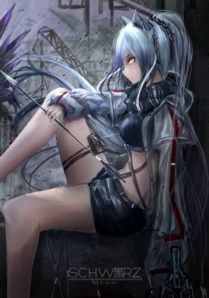 Schwarz from Arknights