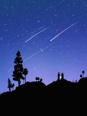 Silhouettes of people watching shooting stars
