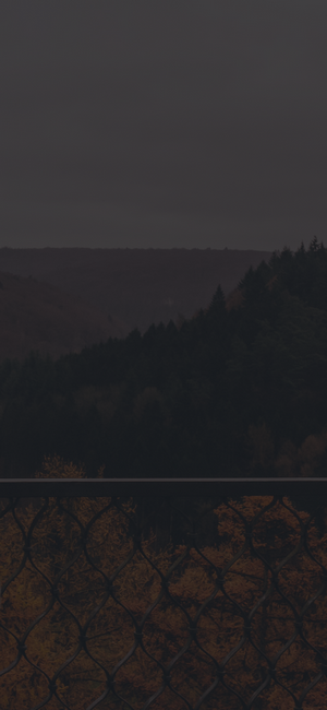 Forest landscape with a fence in the foreground