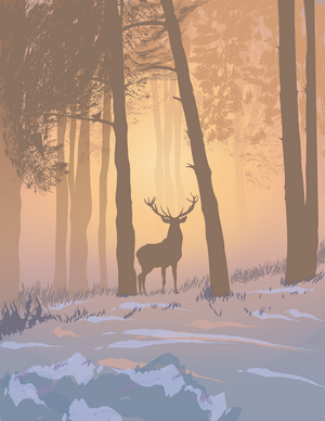 Deer in a foggy forest at sunrise