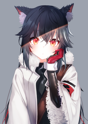 Texas from Arknights