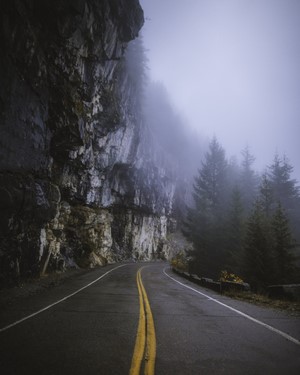 Misty mountain road with rock wall and pine trees