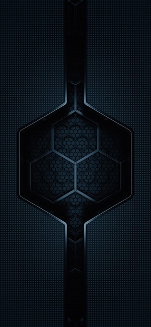 Dark Hexagonal Texture with Metallic Frame