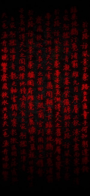 Chinese calligraphy on a dark background