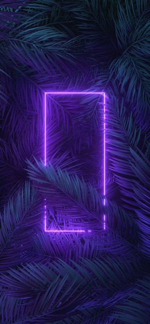 Neon rectangle over palm leaves