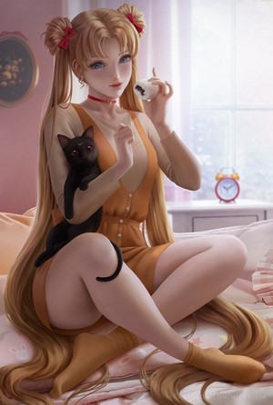 Sailor Moon from Sailor Moon with a black cat