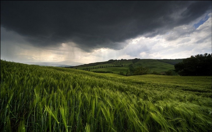 Stormy sky over green fields in Tuscany