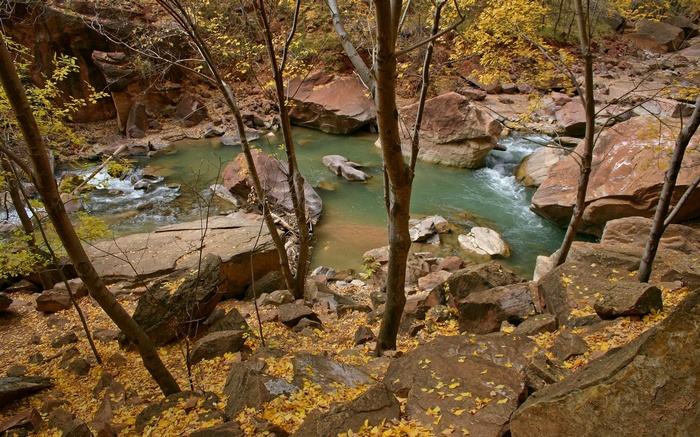 River flowing through rocky canyon with autumn leaves