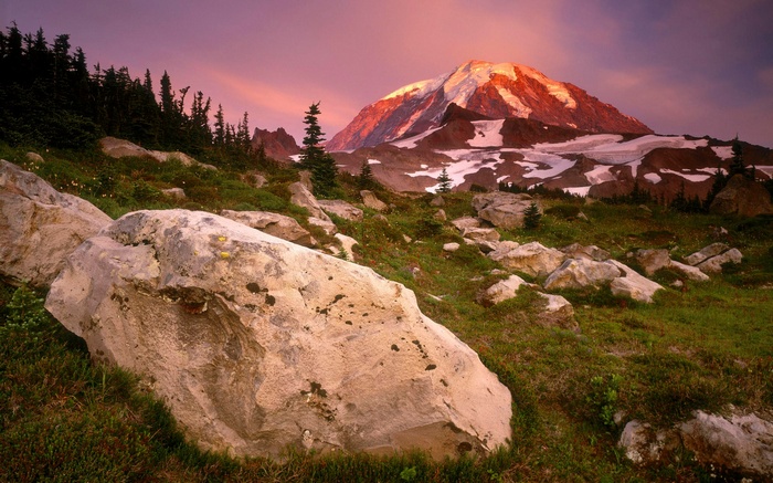 Mount Rainier at Sunset with Rocks and Trees
