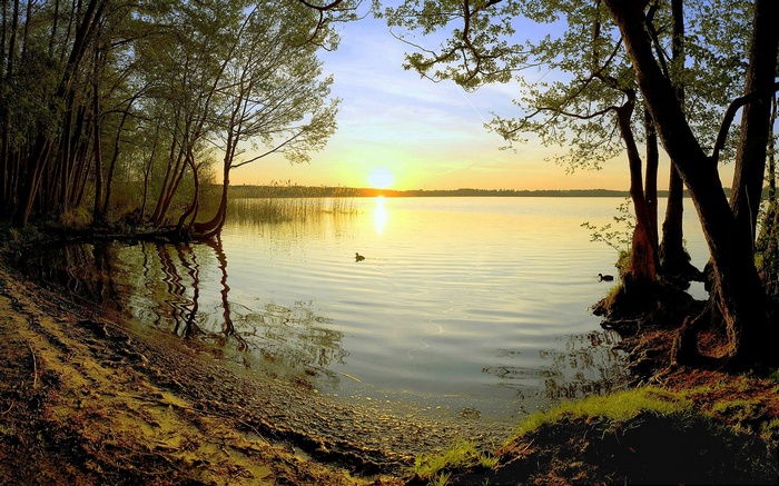 Sunset over a calm lake with trees on the shore