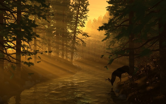Deer drinking from a stream in a sunlit forest