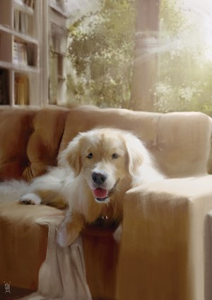 Golden Retriever dog resting on a couch