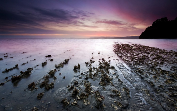 Rocky Shoreline at Sunset with Purple Sky