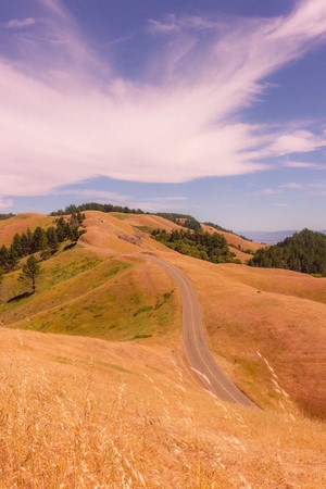 Road through rolling hills with trees and clouds