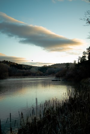 Lake and trees at sunset with clouds