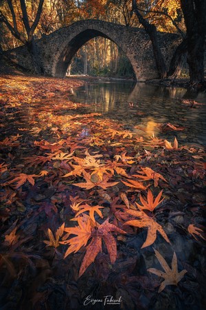 Stone arch bridge over a stream with autumn leaves