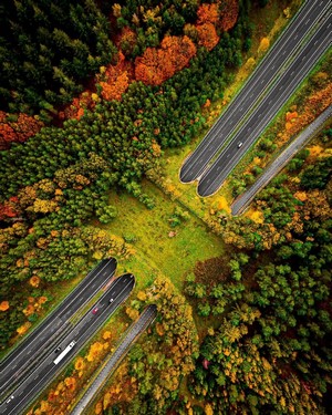 Aerial view of highways through autumn forest with wildlife crossings