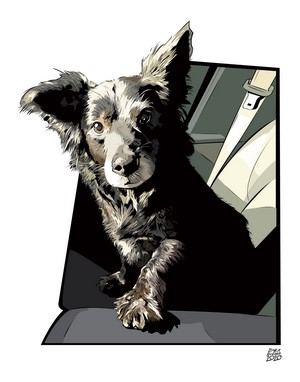 Dog in a Car Seat by Blake M. Kandzer