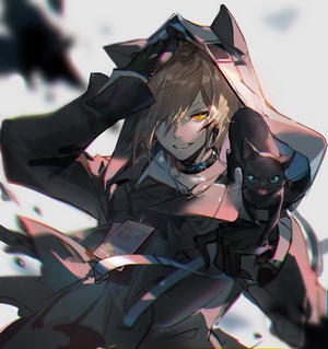 Anime boy with cat from Arknights