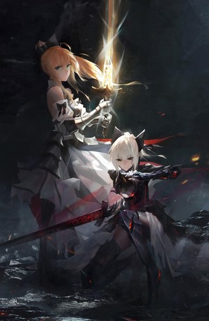 Saber Lily and Saber Alter from Fate Series