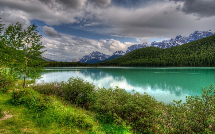 Turquoise lake with mountains and forest