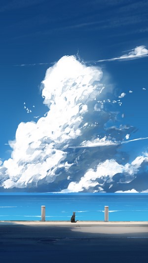Black cat on a coast with clouds and birds